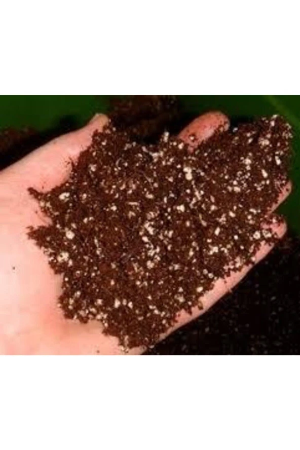 Bonsai Ağacı Tohumu Özel Karışım 5 Litre