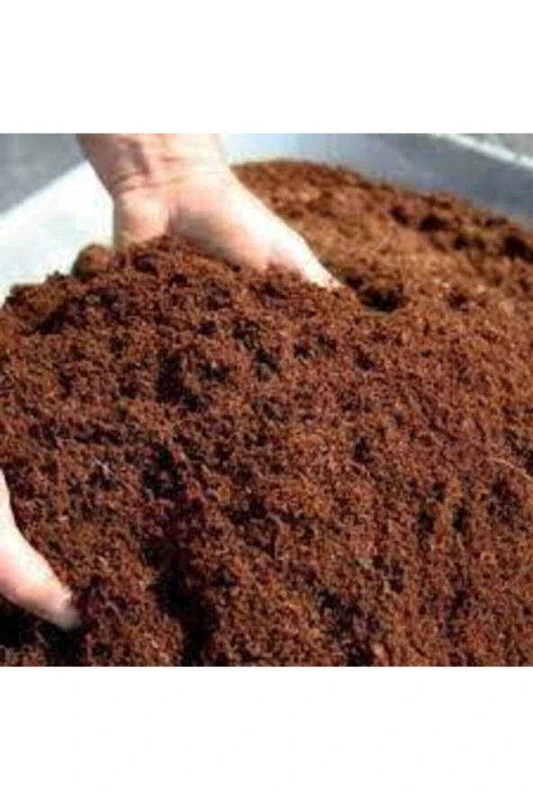 3 l Zengin Karışım Bonsai Ağacı Tohumu - Resim 2