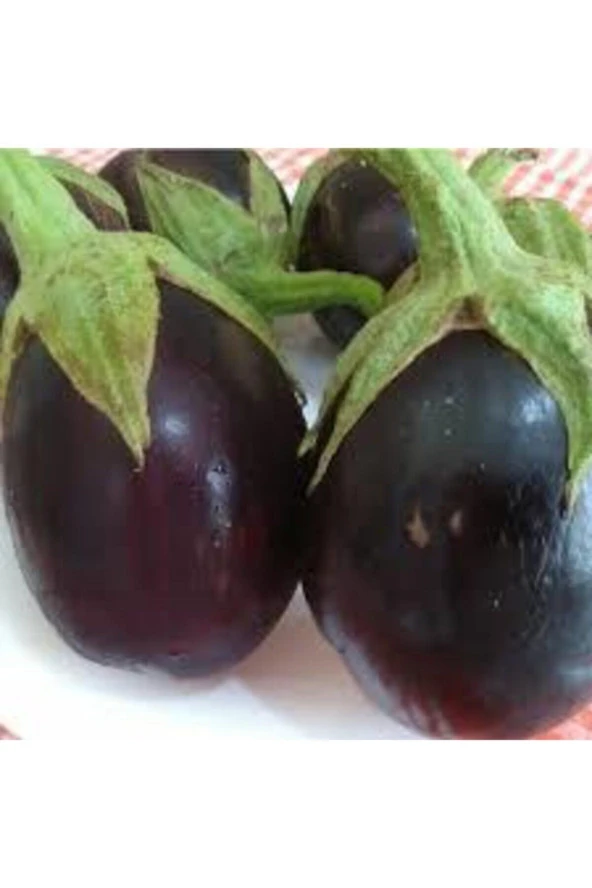 100 Adet Tohum Mega Paket Adana Dolmalık Mor Patlıcan Tohumu Yerli Orjinal Tohum Sürpriz Hediyelidir - 3