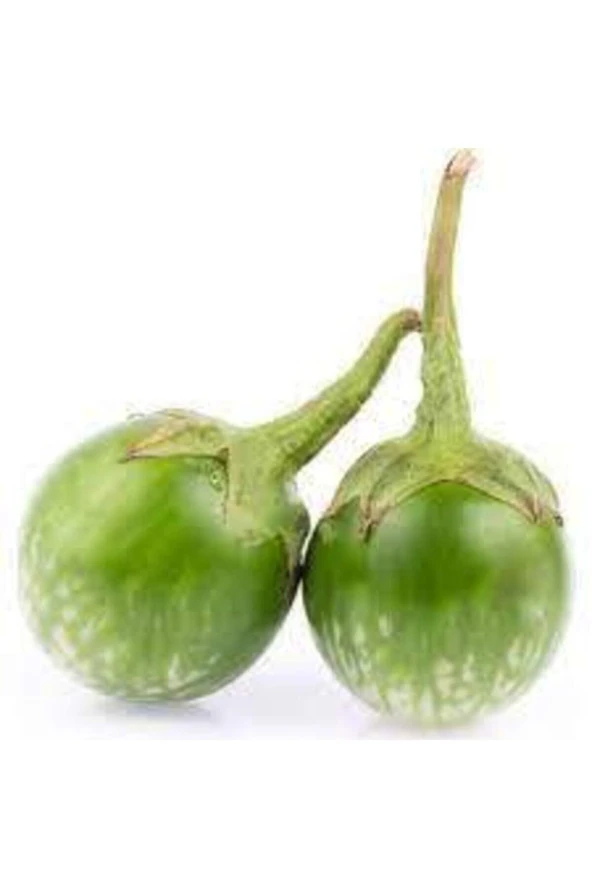 5 Adet Yeşil Dolmalık Patlıcan Tohum