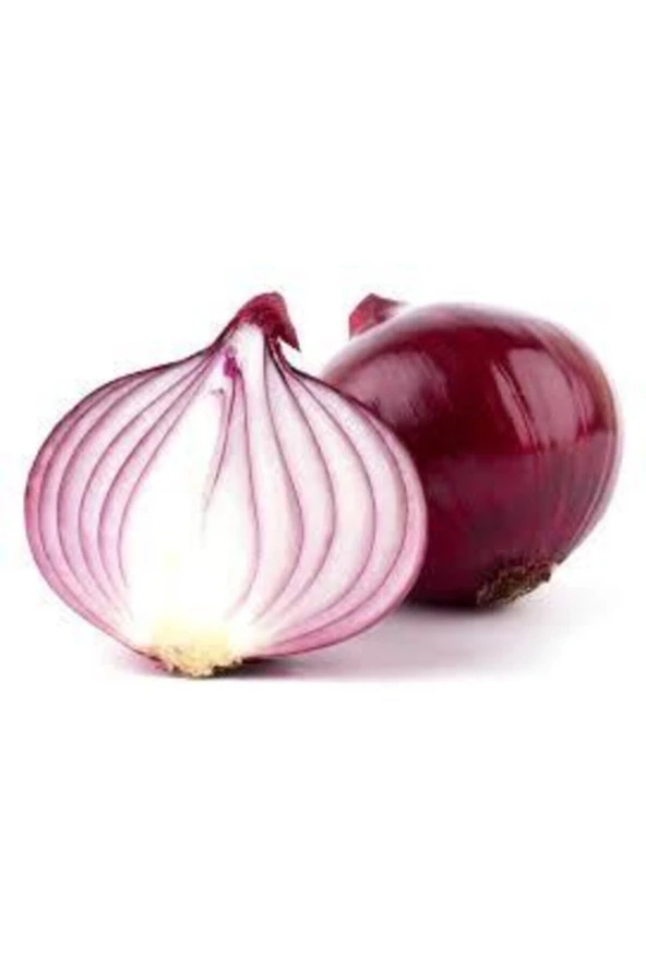 Kışlık Kuru Soğan Tohum 30 Adet - Resim 2