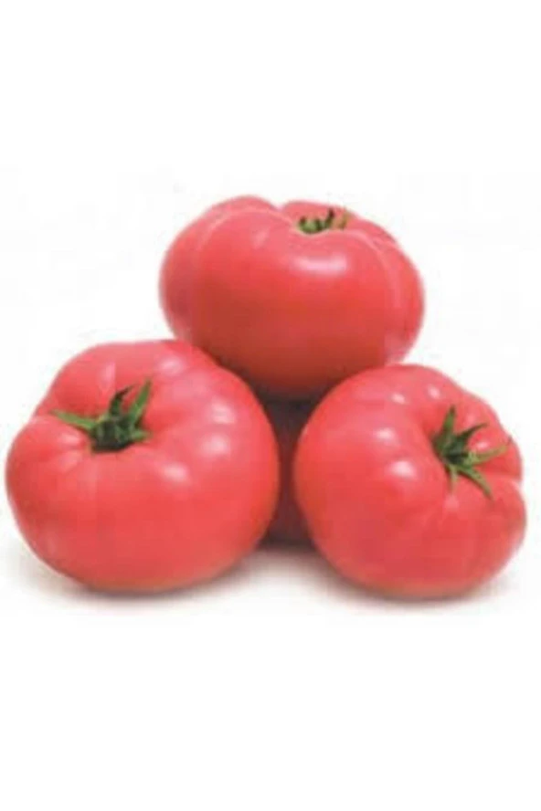 İri Pembe Domatesi 20 Adet Tohum - Resim 2