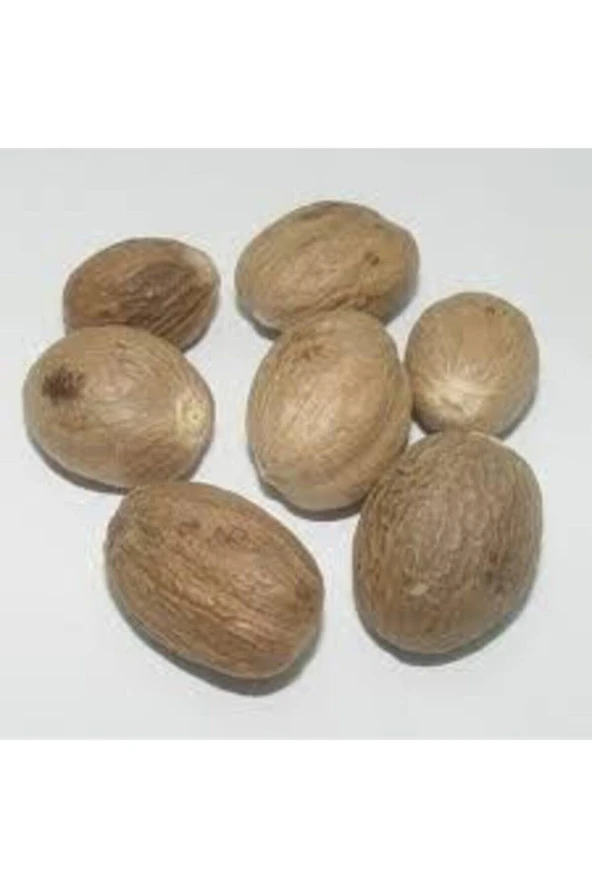 25 Adet Muskat Cevizi Aktarnize Hint Çevizi - 2