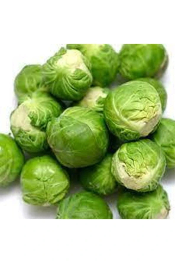 Tohum Yerli Bürüksel Lahana  20 Adet - Resim 3