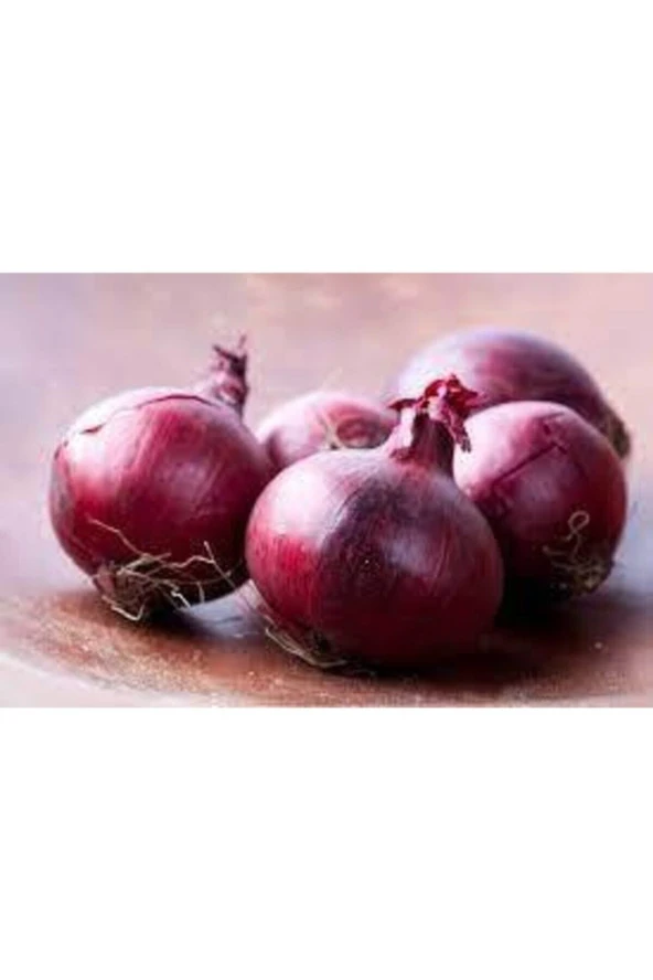 Nadir Ithal Mor Soğan Kışlık Uzun Ömürlü Tohum 100 Adet - Resim 3