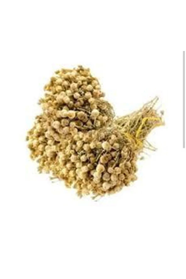 20 Adet Tohum Üzerlik Tütsü Egzotik Kokulu Nazar Otu - Resim 4