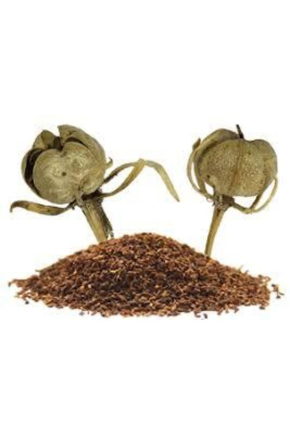 20 Adet Tohum Üzerlik Tütsü Egzotik Kokulu Nazar Otu Tütsü Nazara Karşı Şifalı Olduğu Bilinen Tütsü