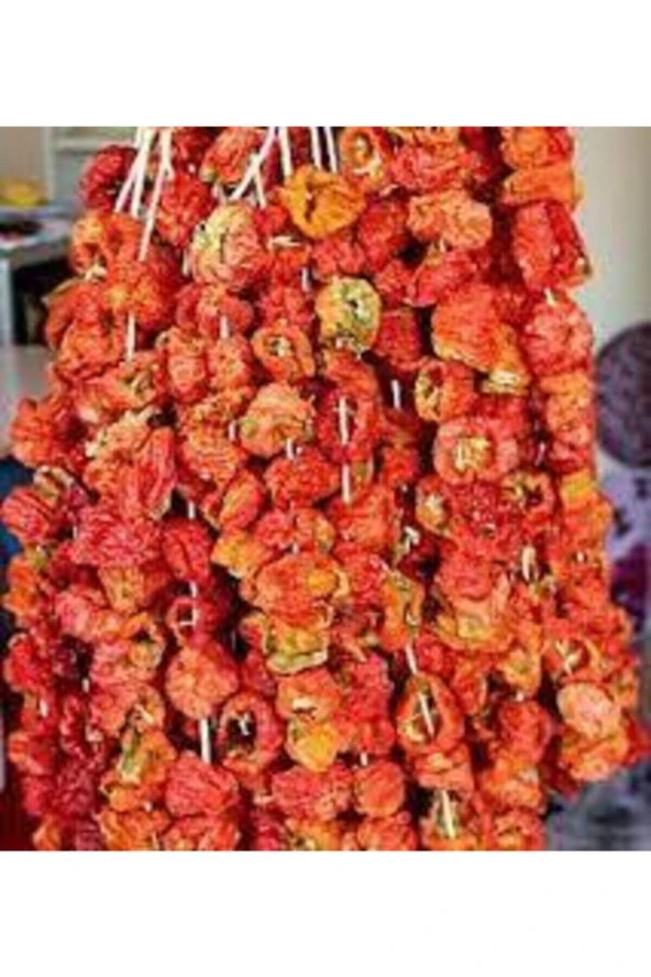 100 Adet Kurutulmuş Acı Antep Dolmalık Biber Yeni Mahsül Doğal Köy Biberi Orta Boy Kuru Biber Dolma - 3