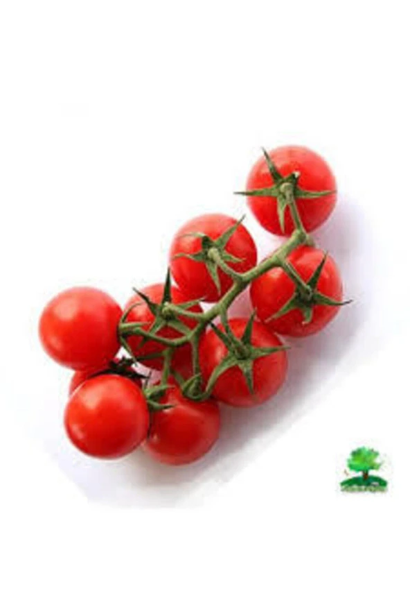 20 Adet Tohum Eko Paket Nadir Ithal Pinpon Domates Tohumu Sürpriz Hediyli - Resim 2