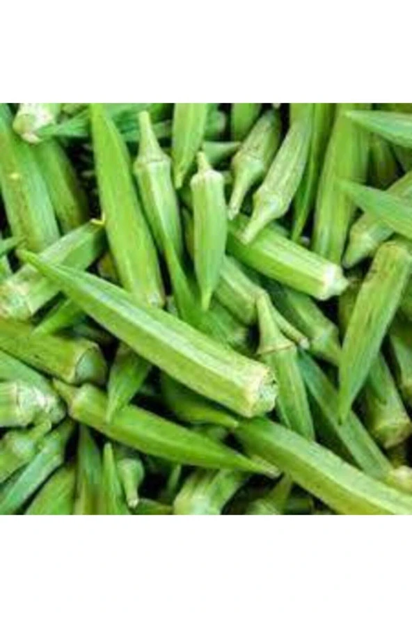 20 Adet Tohum Sultani Bamya Tohumu Saksı Toprak Sürpriz Hediye Tohum - Resim 2