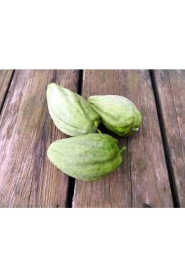 25 Adet Yeşil Yapraklı Mis Kokulu Fesleğen Çiçeği Tohumu - Resim 2