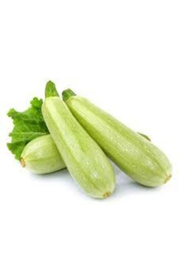 10 Adet  Sakız Kabak Tohumu