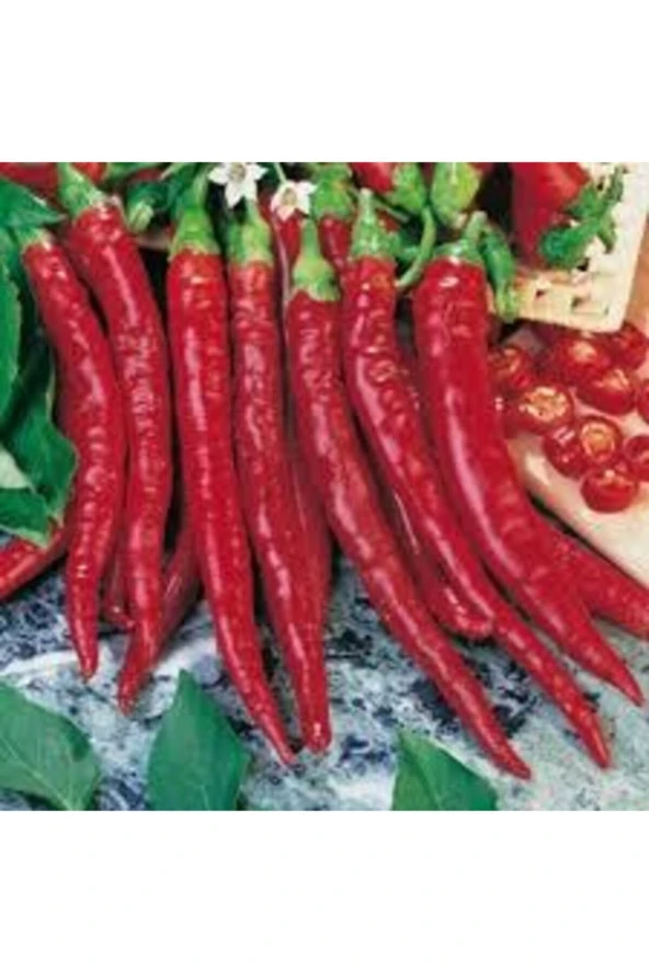Uzun Kırmızı Acı Sivri Biber Tohumu 10 Adet ürün görseli