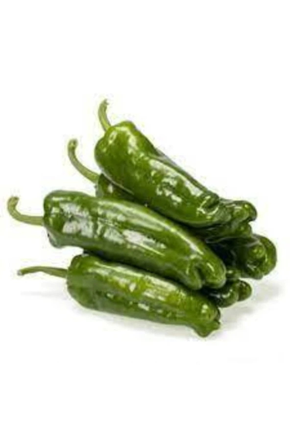 25 Adet Tohum Meşhur Mazamart Biberi Tohumu Üç Burun Biberi Tohumu Süpriz Hediye Tohum