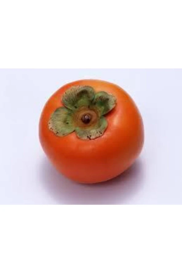 3 Adet Tohum Trabzon Hatay Hurması Bonsai Tohumu Yadigarı Hurma Yaş Hurma Tohumu ürün görseli