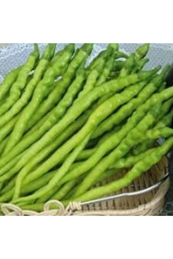 25 Adet Tohum Burkalem Biber Tohumu ürün görseli