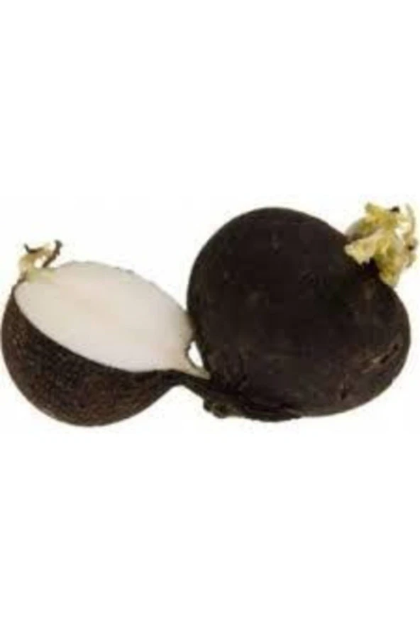 Siyah Turp Tohumu 30 Adet - Resim 4