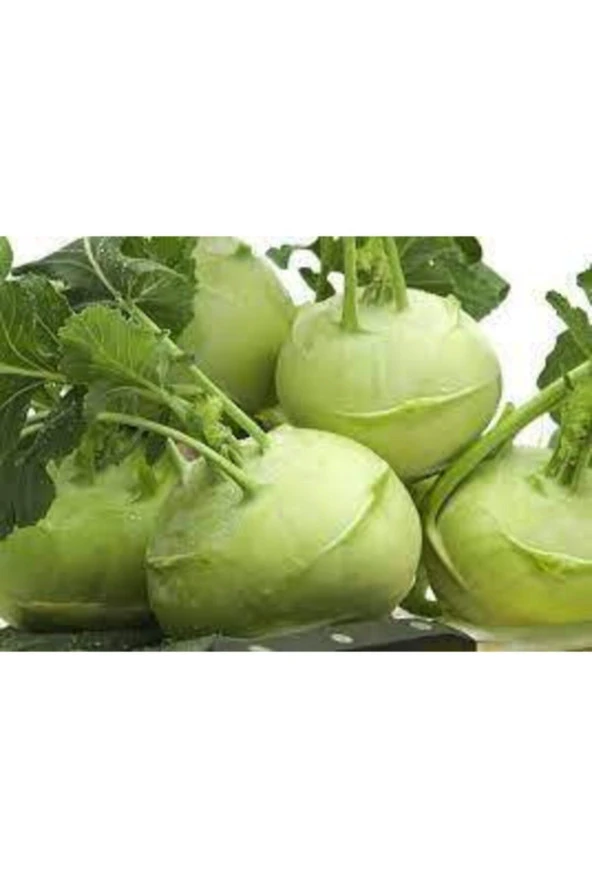 20 Adet Alabaş Tohumu ürün görseli