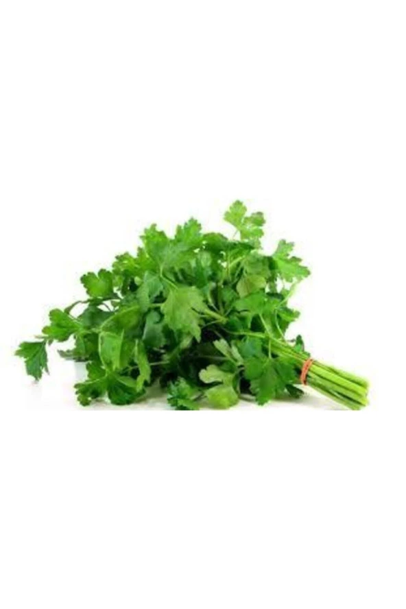 50 Adet Tohum Geniş Yaprak Maydanoz Maydonoz Tohumu Sürpriz Hediye Sebze Tohumu ürün görseli