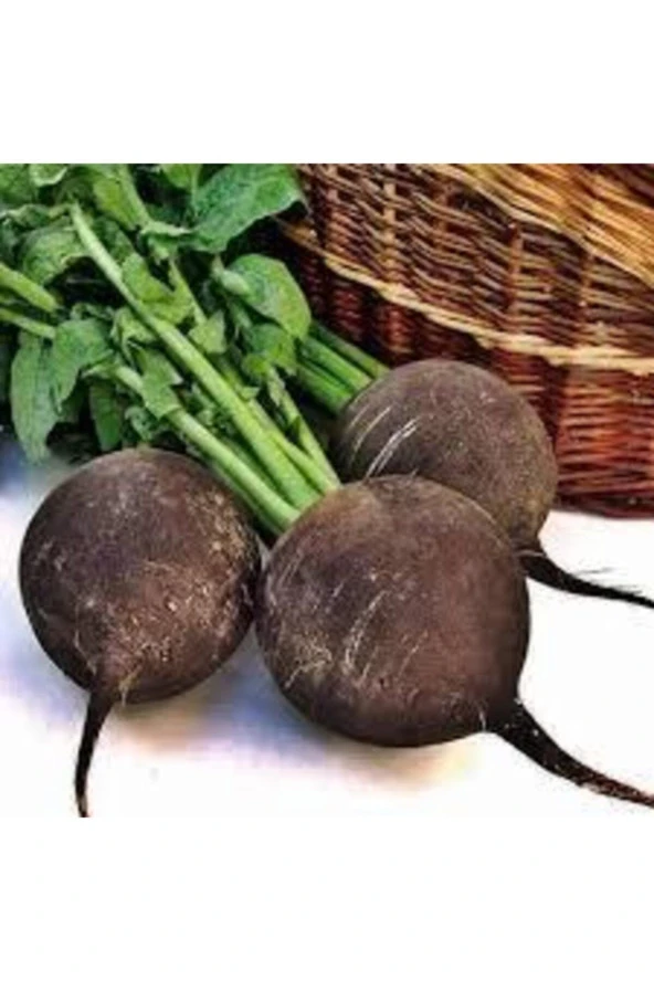 Tohum Siyah Turp Tohumu Kara Turp Tohumu + 50 Adet