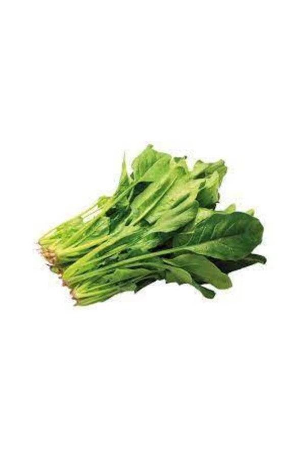 Ispanak Tohumu 50 Adet