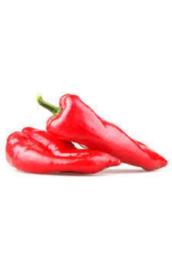 20 Adet Tohum Kırmızı Kapya Biber Tohumu Etli Pat Biber Kebaplık Biber Sürpriz Hediye Tohumludur - Resim 4