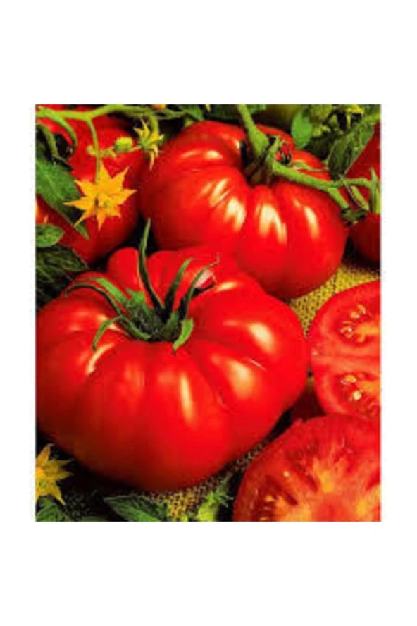 20 Adet Tohum Orjinal Köy Domatesi Tohumu Ata Tohum Yerli Tabak Köy Domates Tohumu Saksı Toprakla - 2