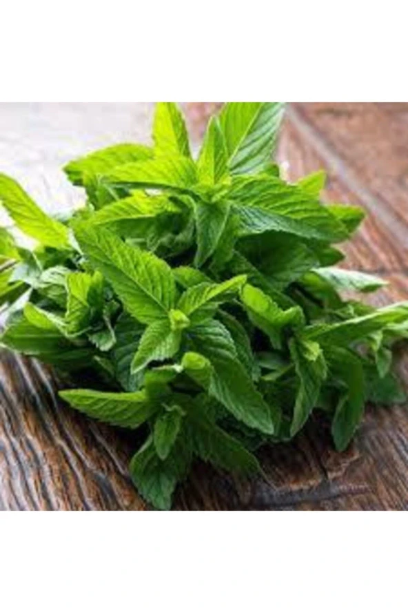 50 Adet Tohum Nane Eko Paket Saksı Toprak Tohum Set Mis Kokulu Nane Ata Tohum - Resim 2