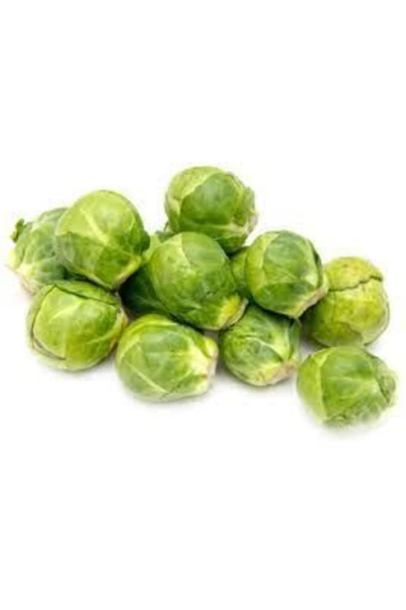 15 Adet Tohum Yerli Bürüksel Lahana Tohumu Saksı Toprak Ata Tohum Sürpriz Hediye Tohum