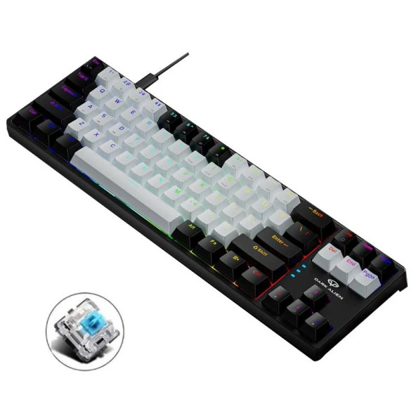 Valkyrie Blue Switch Dark Alien K710 71 Tuş RGB Gaming Klavye - Mekanik Mavi Tuş Type-C  - 2 Kademe Yükseklik SiyahBeyaz