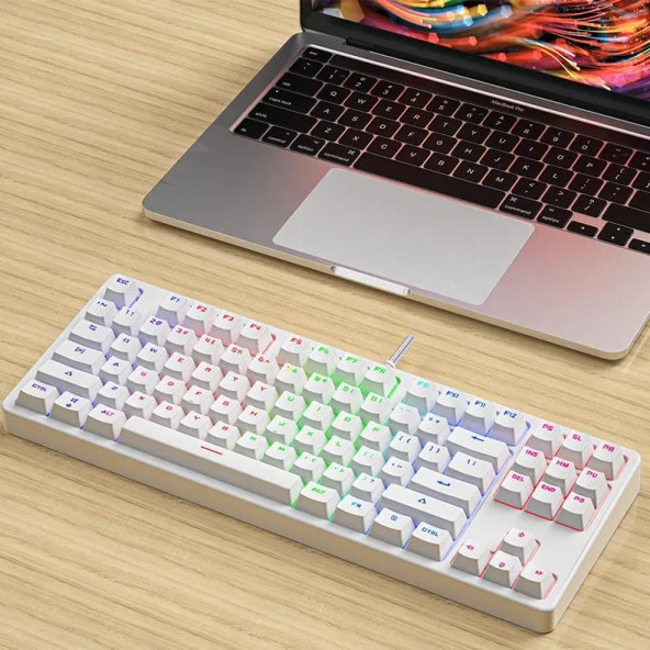 Valkyrie Leaven K870 Blue Switch Mekanik Gaming Oyun Klavyesi RGB 61 Key Mavi Tuş Type-C Klavye BEYAZ - 3