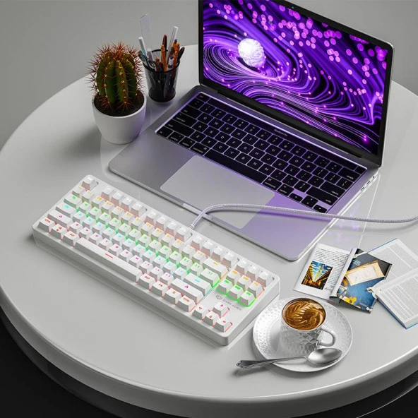 Valkyrie Leaven K870 Blue Switch Mekanik Gaming Oyun Klavyesi RGB 61 Key Mavi Tuş Type-C Klavye BEYAZ - 5