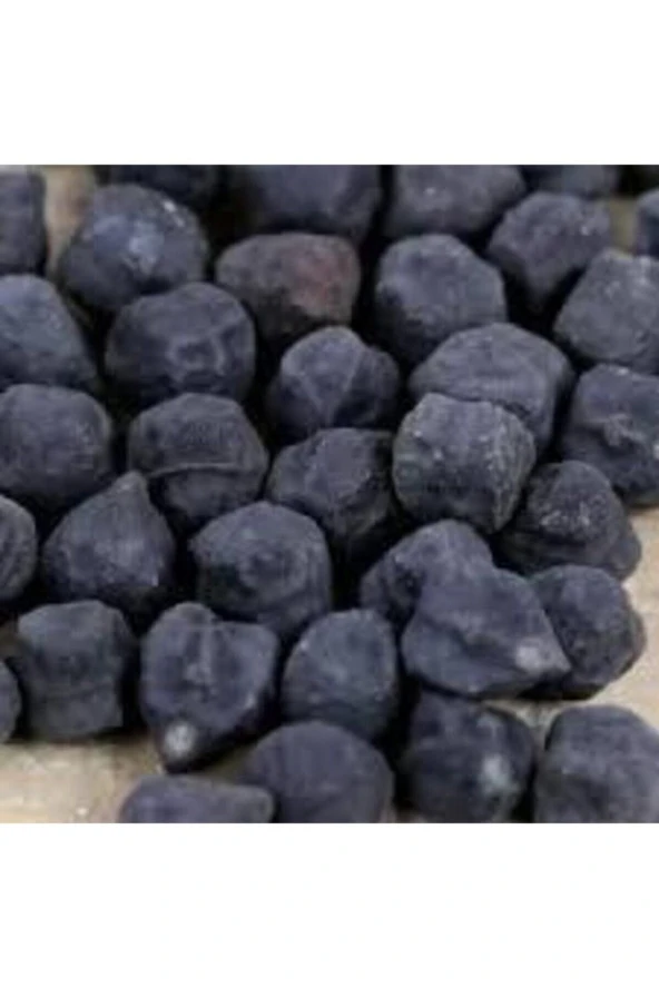 100 Adet Tohum Çok Nadir Bulunan Siyah Nohut Tohumu Faydası Saymakla Bitmez Kara Nohut ürün görseli