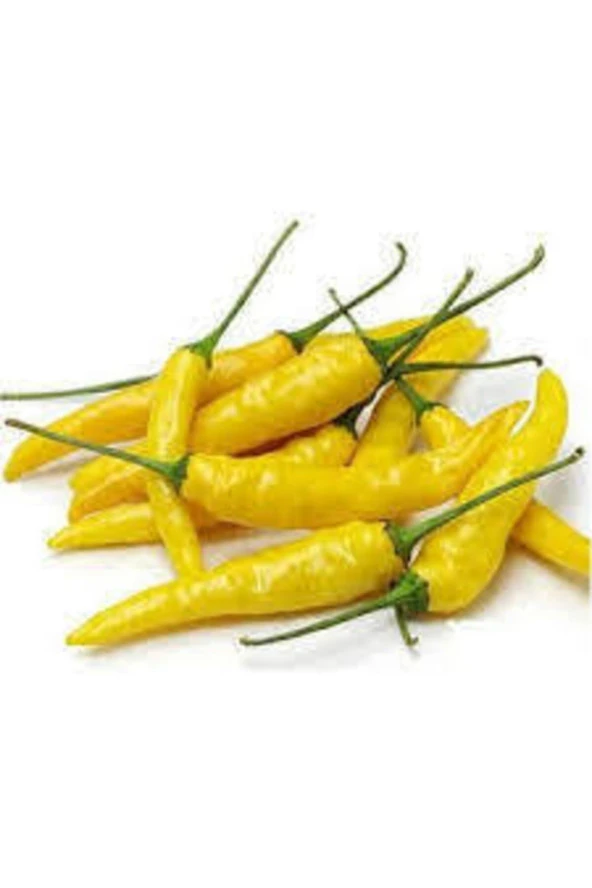 25 Adet Turşuluk Sarı Yemelik Süs Biberi Tohumu ürün görseli 1
