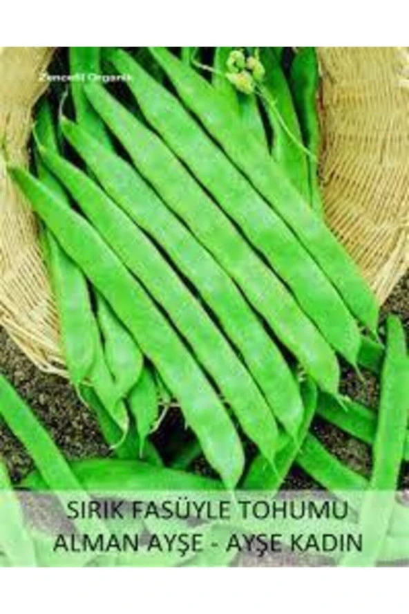 Eko Paket Ayşe Kadın Kılçıksız Fasulye Tohumu 250 Adet - Resim 2