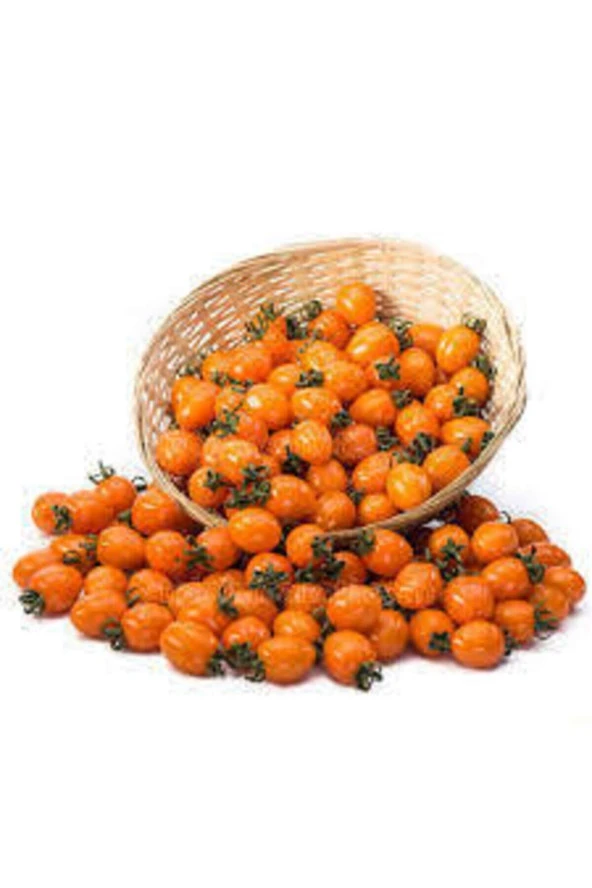 5 Adet Tropikal Nadir Turuncu Çeri Domates Tohumu ürün görseli