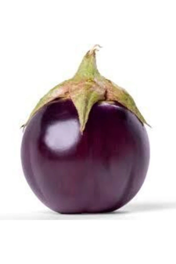 10 Adet Nadir Hollanda Iri Dev Patlıcan Tohumu ürün görseli