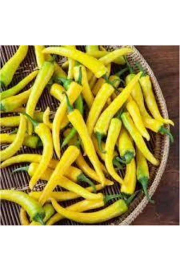 25 Adet Turşuluk Sarı Yemelik Süs Biberi Tohumu - Resim 2