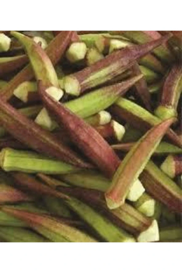 200 Adet Eko Paket Kınalı Bamya Tohumu - Resim 3