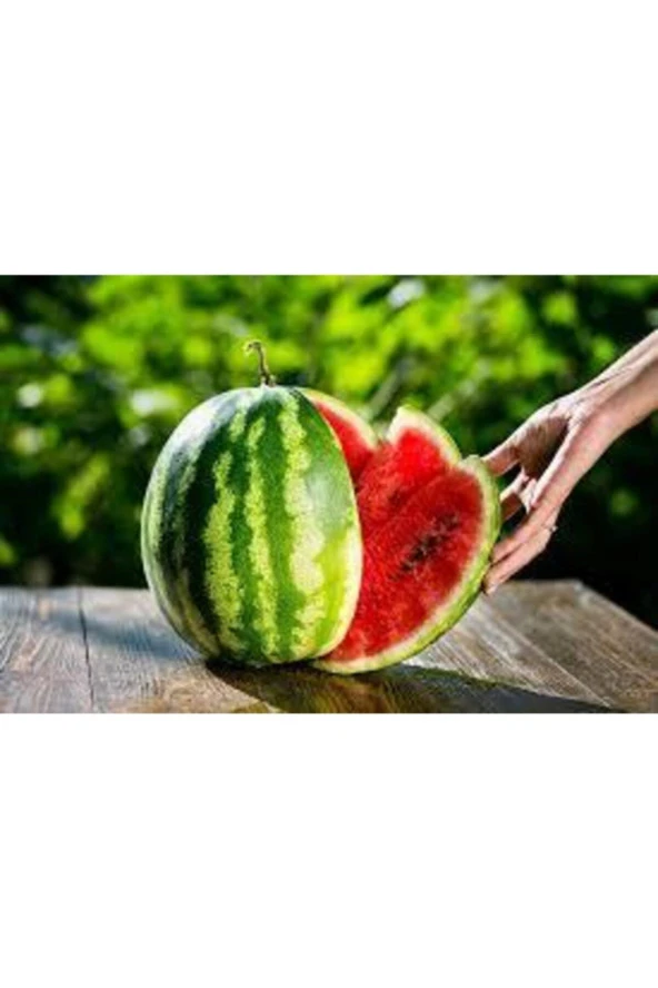 30 Adet İthal Crimson Sweet Karpuz Tohumu - Resim 2