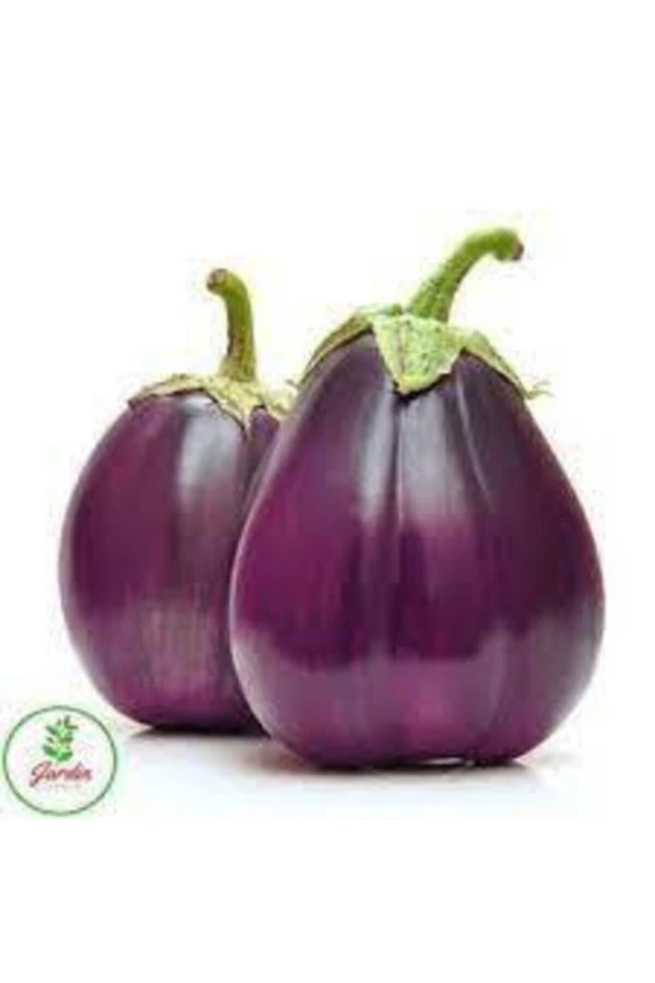 10 Adet Nadir Hollanda Iri Dev Patlıcan Tohumu - Resim 2