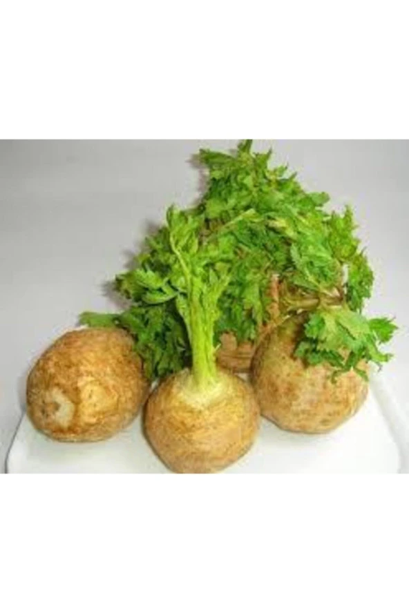 10 Adet Organik Ata Kereviz Tohumu ürün görseli 1