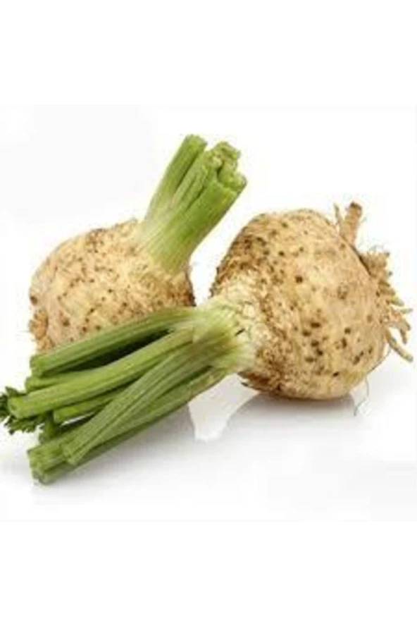 10 Adet Organik Ata Kereviz Tohumu - Resim 2