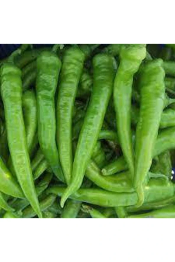 Sivri Acı Demre Biber Tohumu 150 Adet - Resim 4