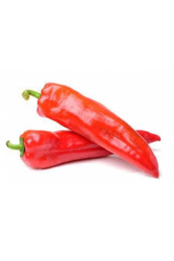 Acı Samandağ Biberi Tohumu  10 Adet ürün görseli