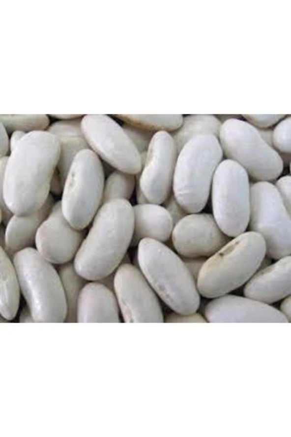 100 Adet Beyaz Fasulye Tohumu - Resim 3