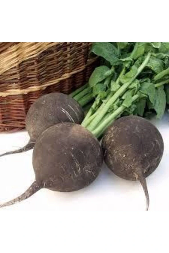 Siyah İri Turp Tohumu  50'li ürün görseli