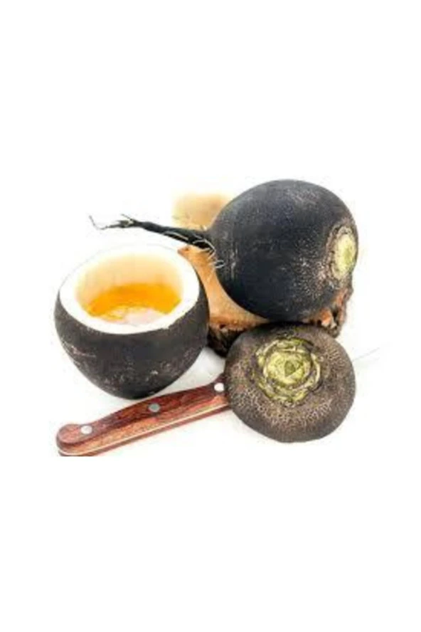 Siyah İri Turp Tohumu  50'li - Resim 2