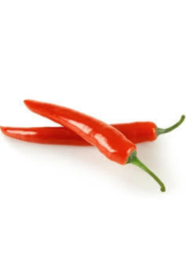 30 Adet Şili Biberi Tohumu ürün görseli