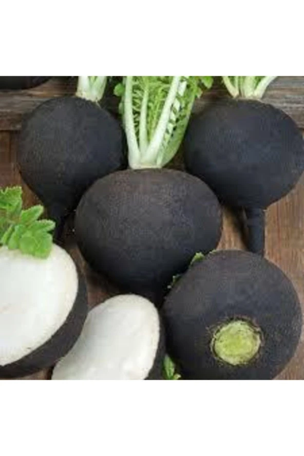 Siyah İri Turp Tohumu  50'li - Resim 4